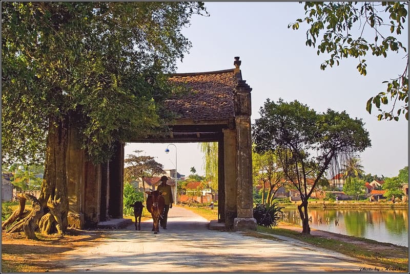 Duong Lam ancient village - HANOI MOTORBIKE TOUR TO BA VI NATIONAL PARK AND DUONG LAM VILLAGE