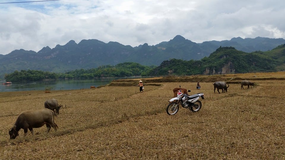 SHORT HANOI MOTORBIKE TOUR TO VAN PHUC SILK VILLAGE, THAY & TAY PHUONG PAGODAS