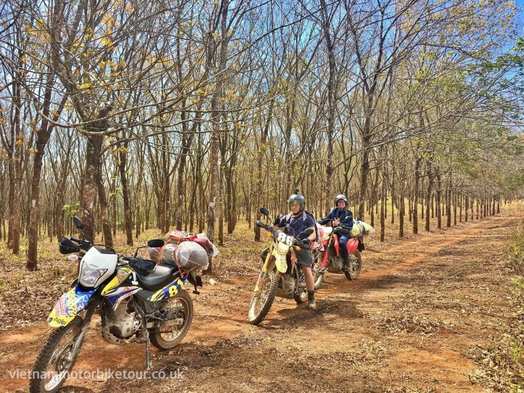 hanoi motorbike tour to saigon19 - HOI AN MOTORBIKE TOUR TO SAIGON VIA CENTRAL HIGHLANDS AND MEKONG DELTA