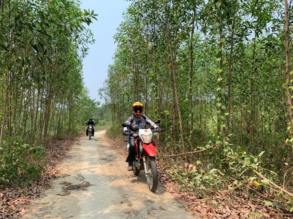 Dalat motorbike tours 11 - Why Saigon Motorbike Tour to Da Lat via Nam Cat Tien National Park and Bao Loc is a MUST?